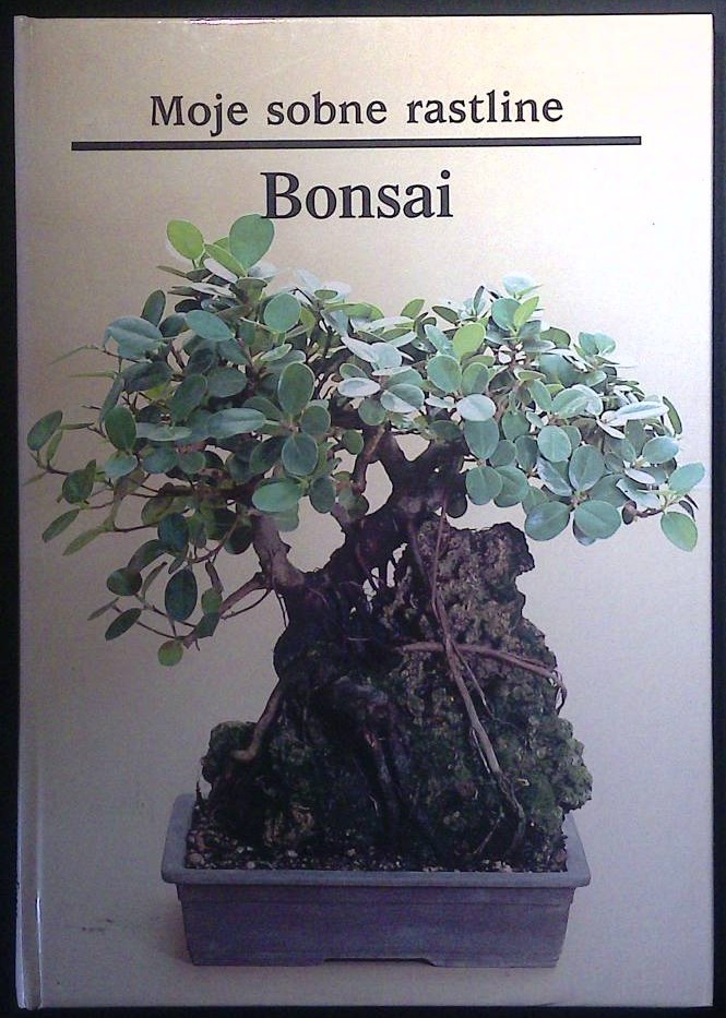 Moje sobne rastline / Bonsai