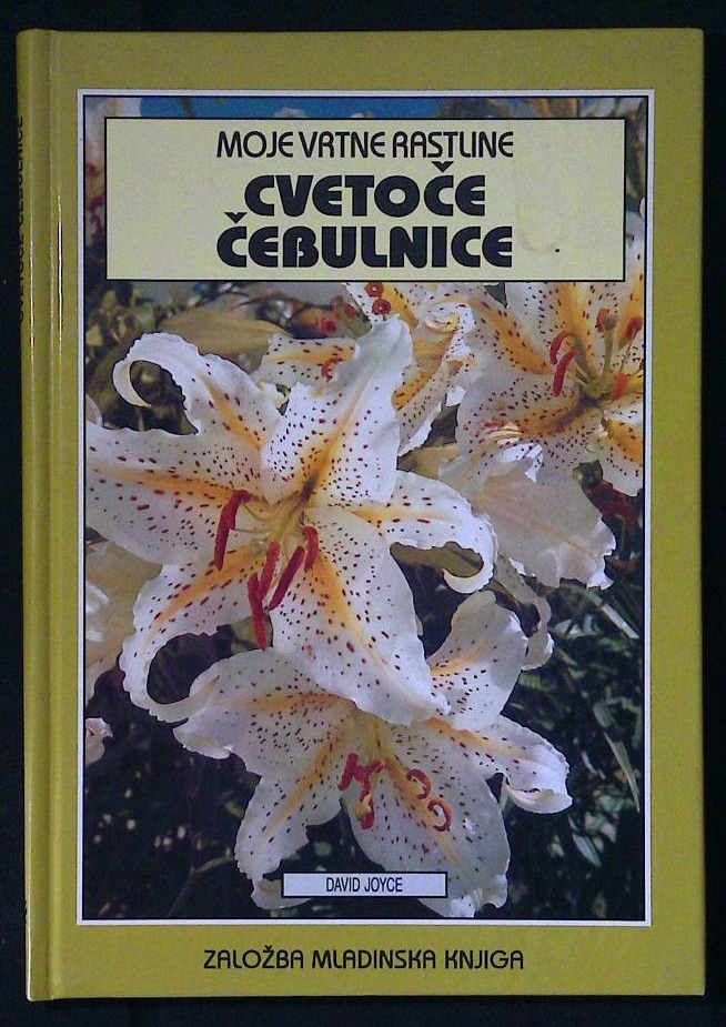 Cvetoče čebulnice