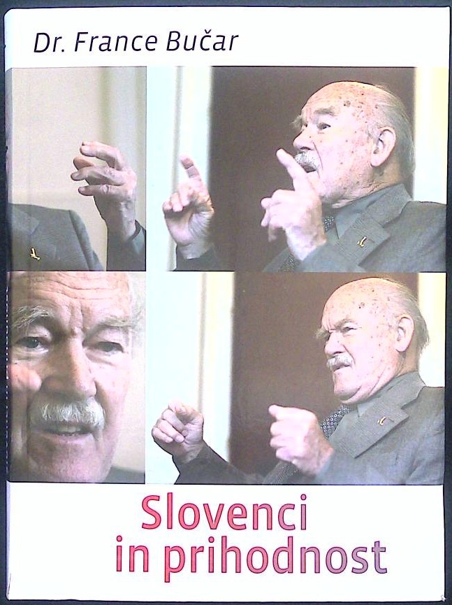Slovenci in prihodnost (Slovenski narod po rojstvu države)