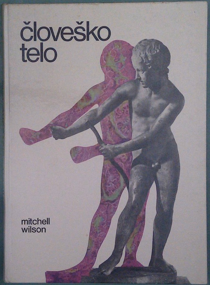Človeško telo - slika 2