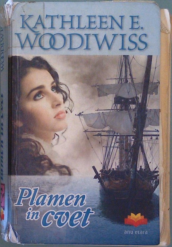 Plamen in cvet