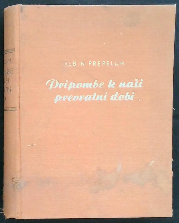 Pripombe k naši prevratni dobi