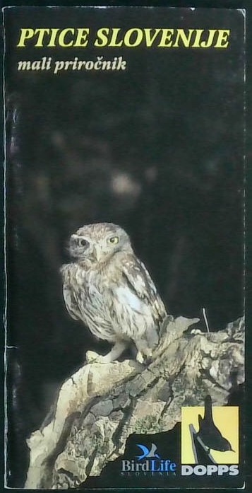 Ptice Slovenije (mali priročnik)