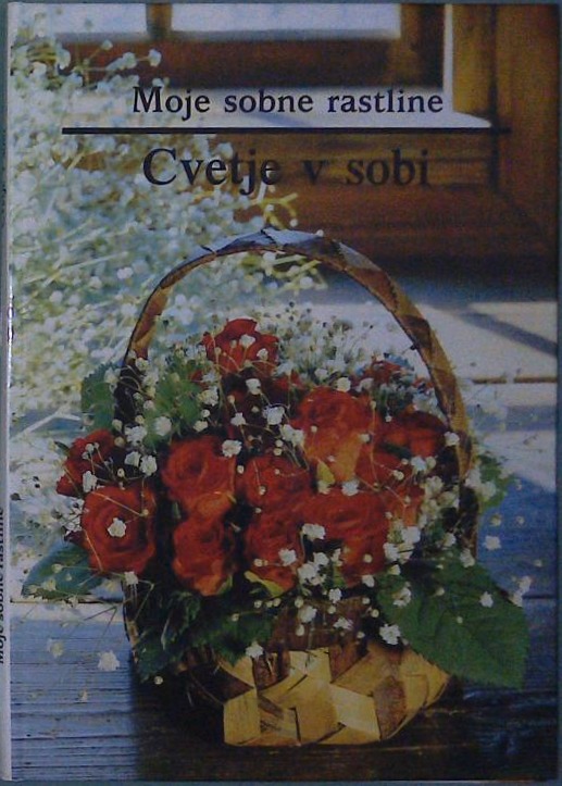 Moje sobne rastline / Cvetje v sobi