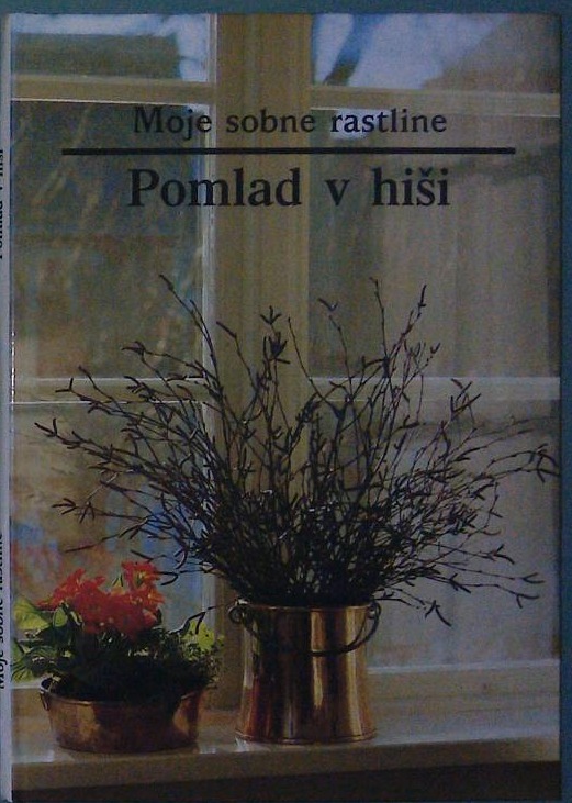 Moje sobne rastline / Pomlad v hiši