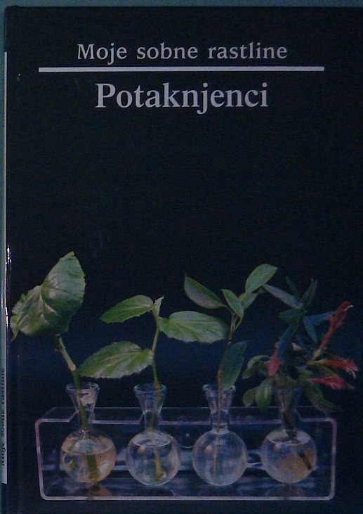 Moje sobne rastline / Potaknjenci