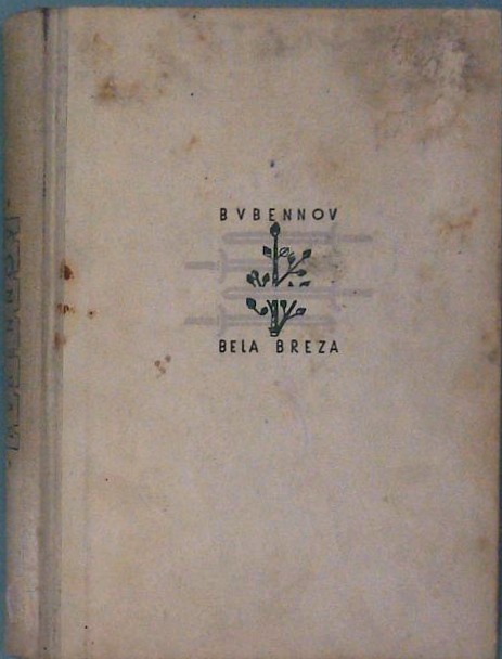 Bela breza