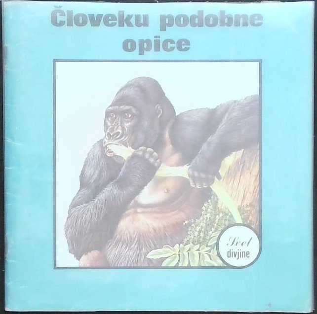 Človeku podobne opice