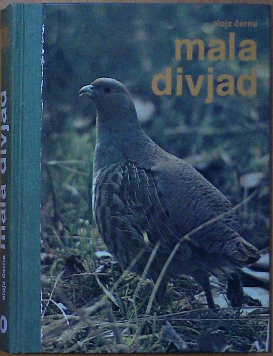 Mala divjad