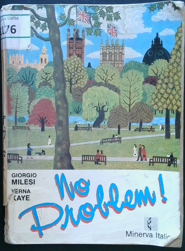 No problem! (a basic course of English)
