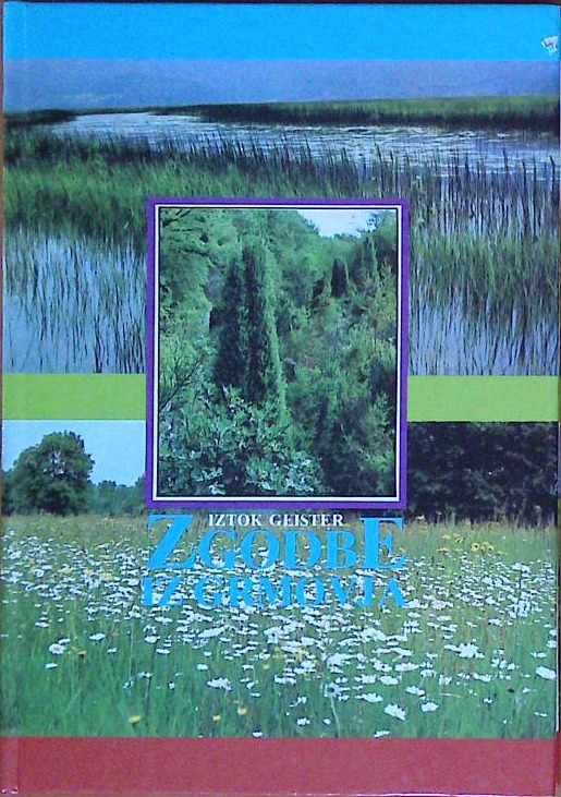 Zgodbe iz grmovja