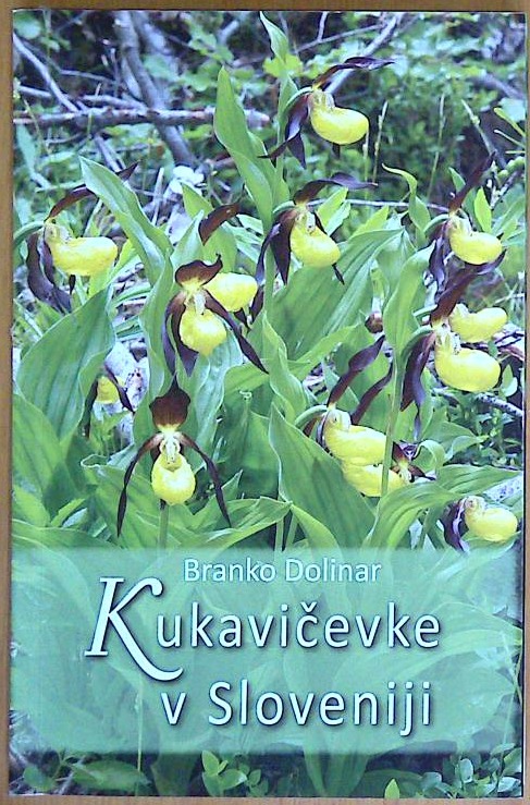 Kukavičevke v Sloveniji