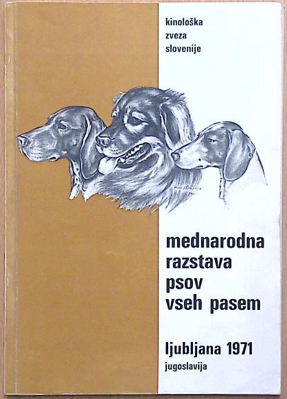 Mednarodna razstava psov vseh pasem