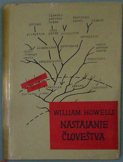Nastajanje človeštva