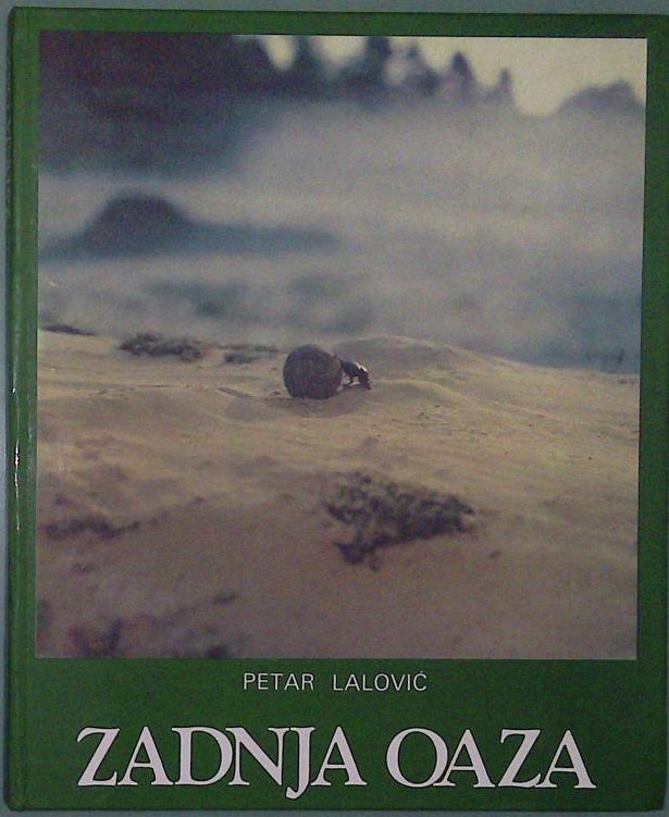 Zadnja oaza