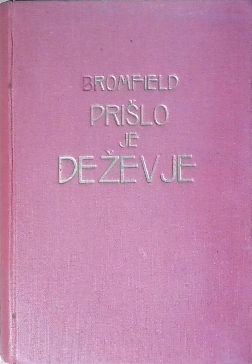 Prišlo je deževje : roman iz sodobne Indije