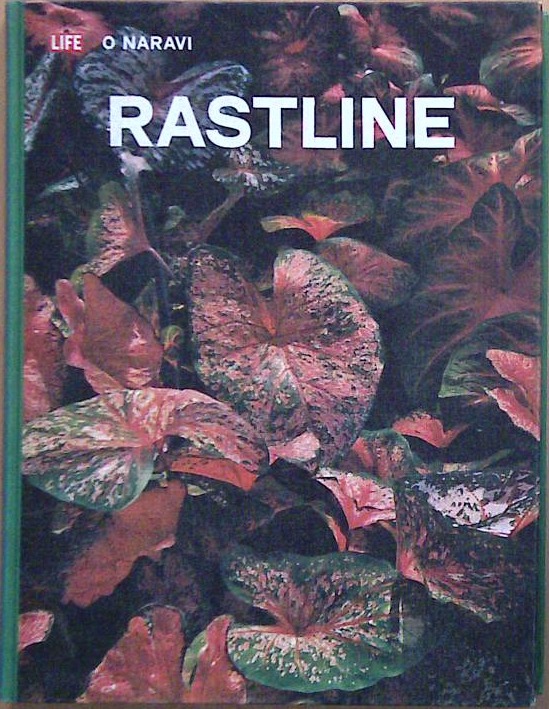 Rastline