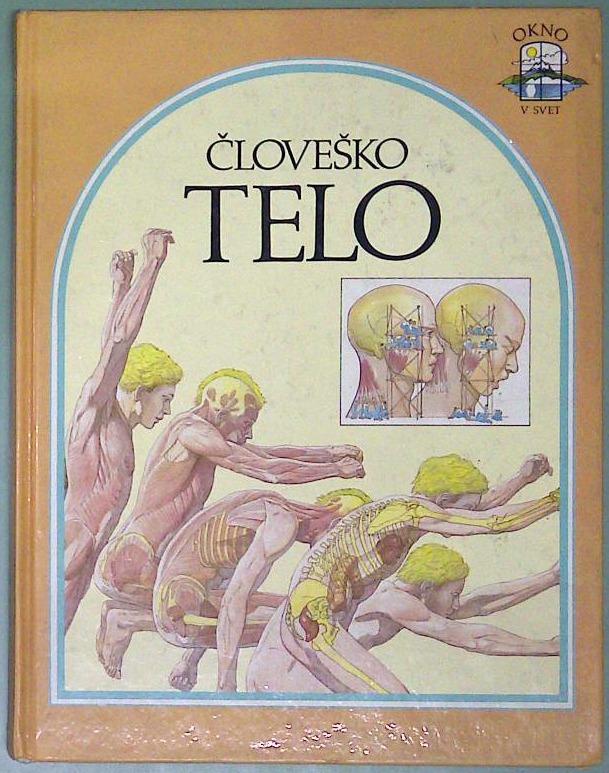 Človeško telo