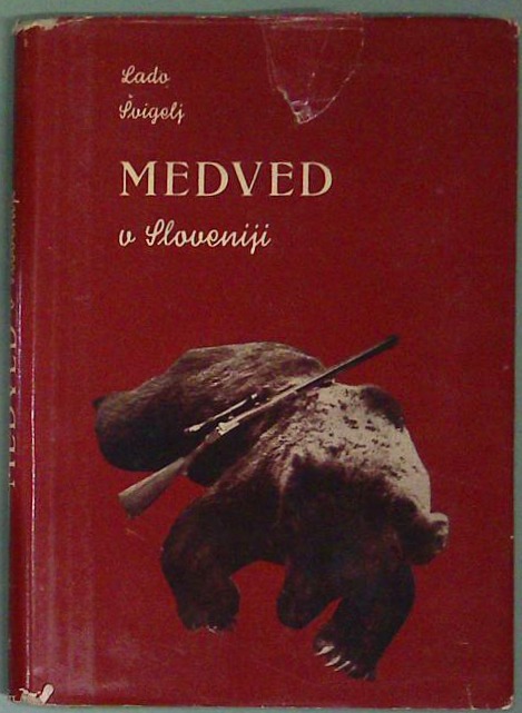 Medved v Sloveniji