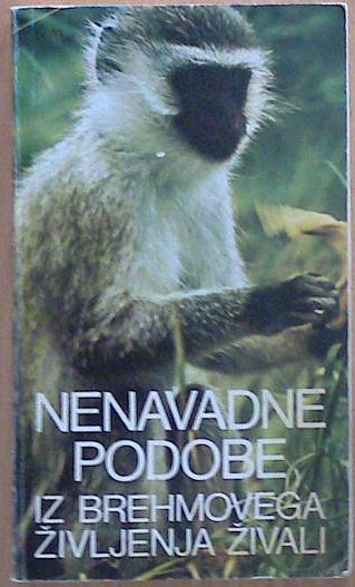 Nenavadne podobe iz Brehmovega življenja živali