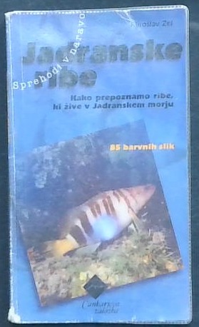 Jadranske ribe - slika 2