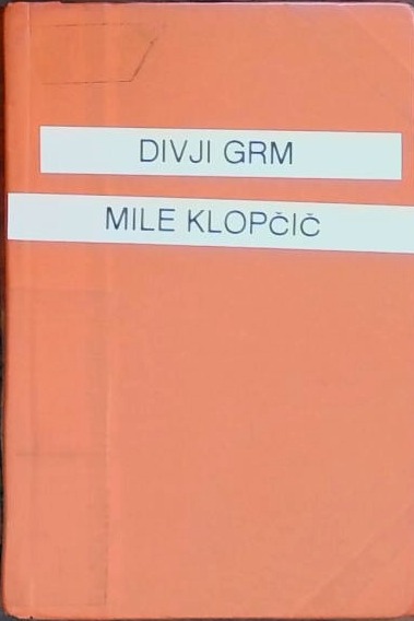 Divji grm