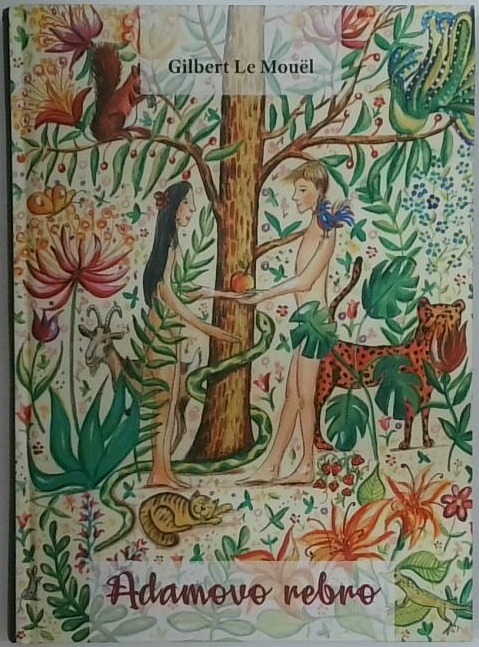 Adamovo rebro