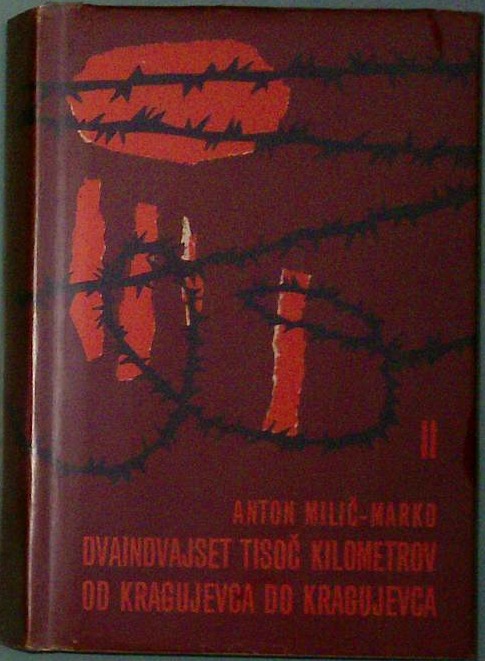 Dvaindvajset tisoč kilometrov od Kragujevca do Kragujevca III - slika 2