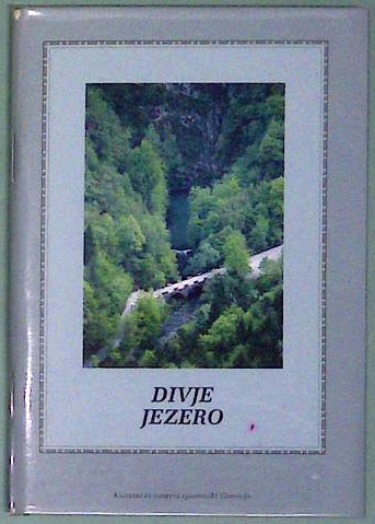 Divje jezero