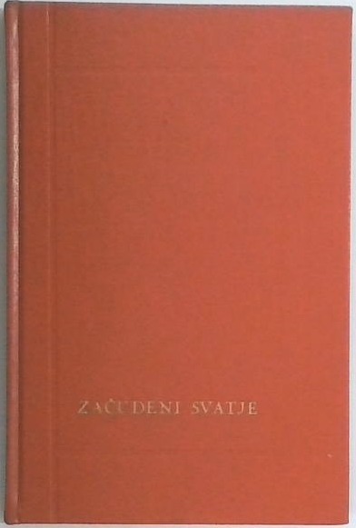 Začudeni svatje