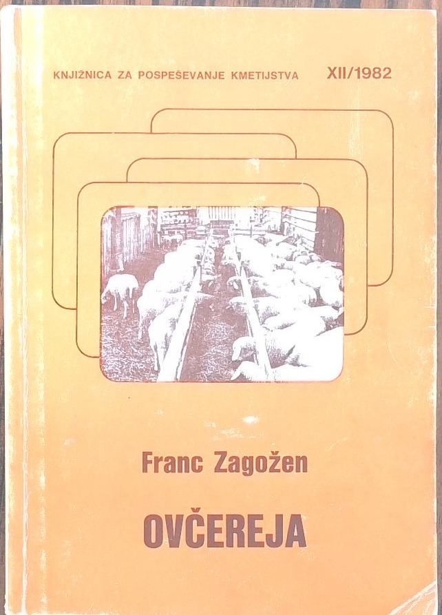 Ovčereja