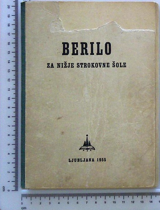 Berilo za nižje strokovne šole