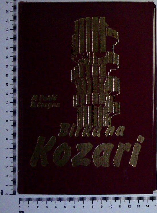 Bitka na Kozari - slika 2