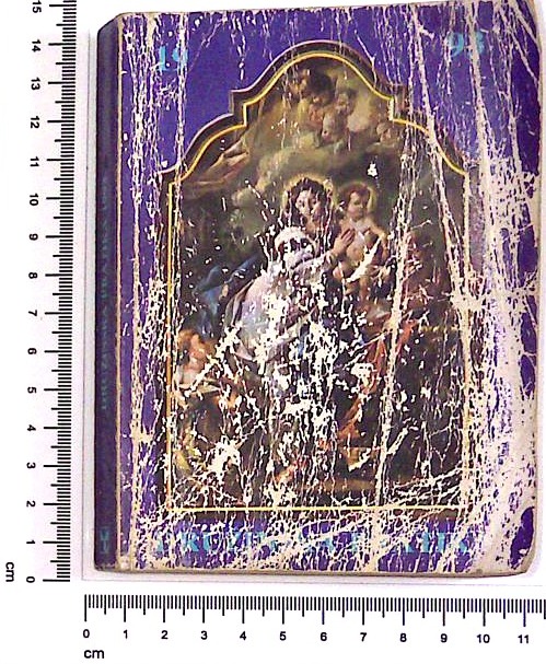 Družinska pratika za prestopno leto 1993