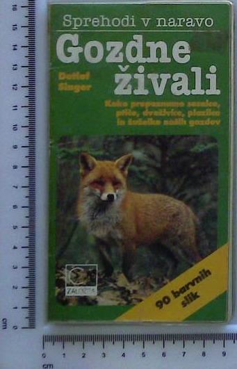 Gozdne živali