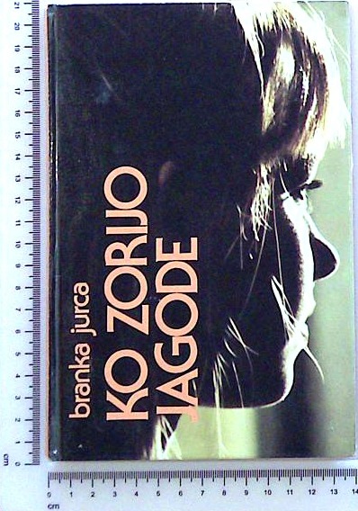 Ko zorijo jagode