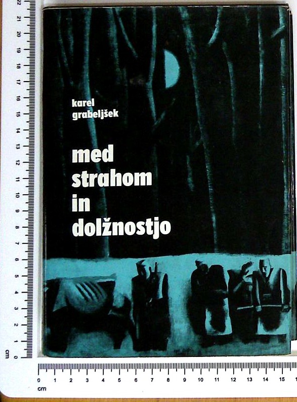 Med strahom in dolžnostjo - slika 2