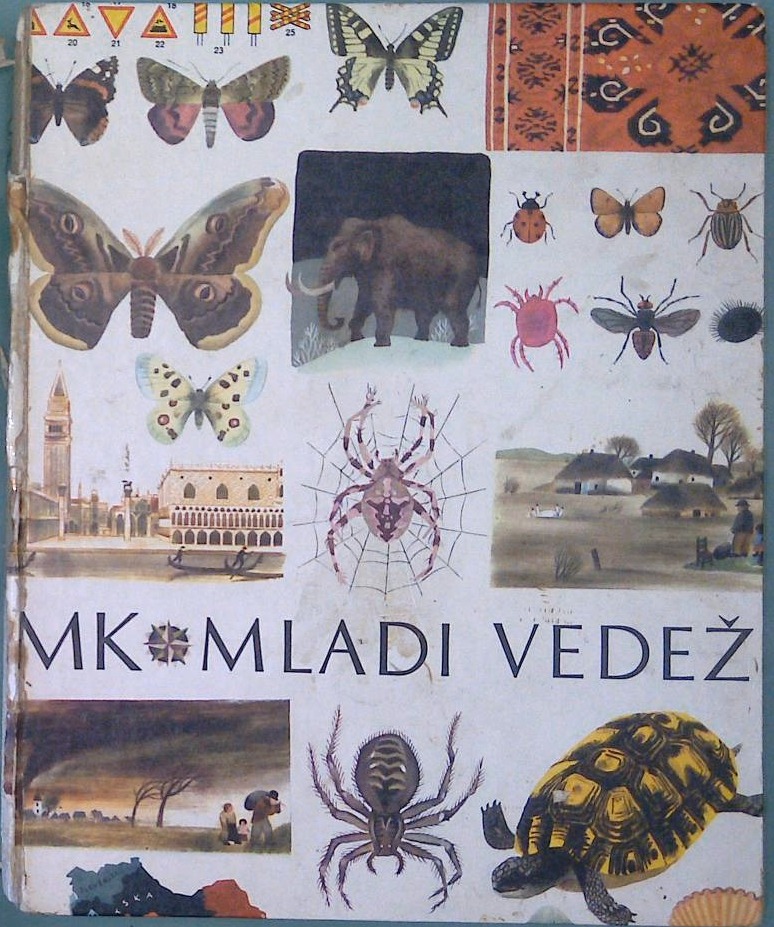 Mladi vedež - slika 2