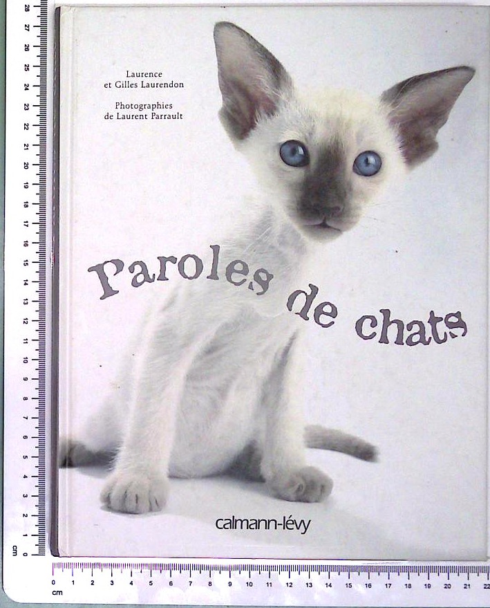 Paroles de chats 