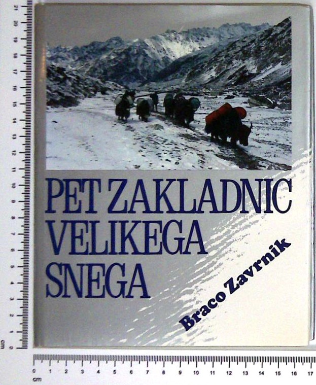Pet zakladnic velikega snega