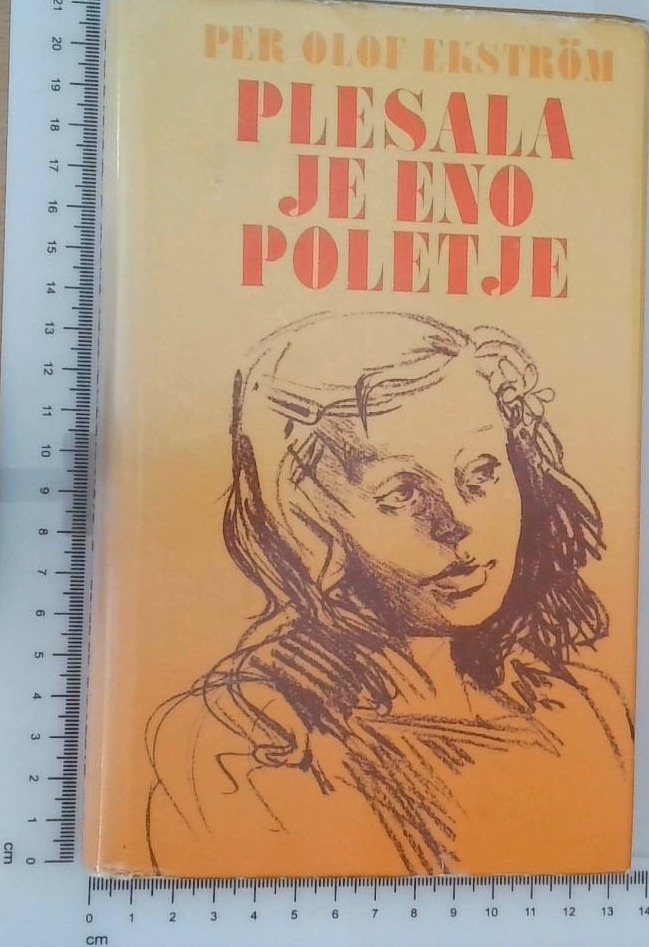 Plesala je eno poletje - slika 3