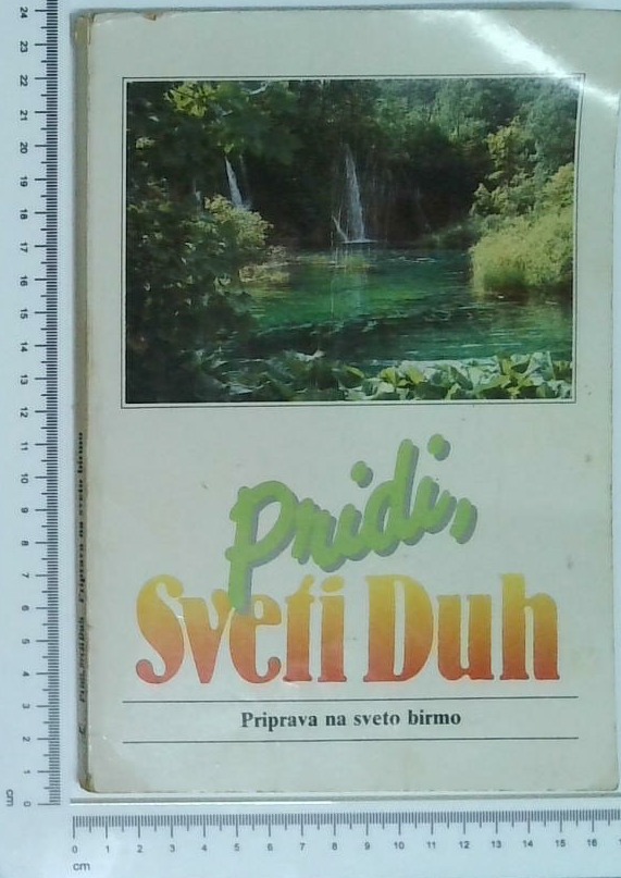 Pridi, Sveti Duh : Priprava na sveto birmo