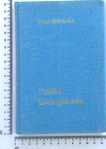 Ptički brez gnezda