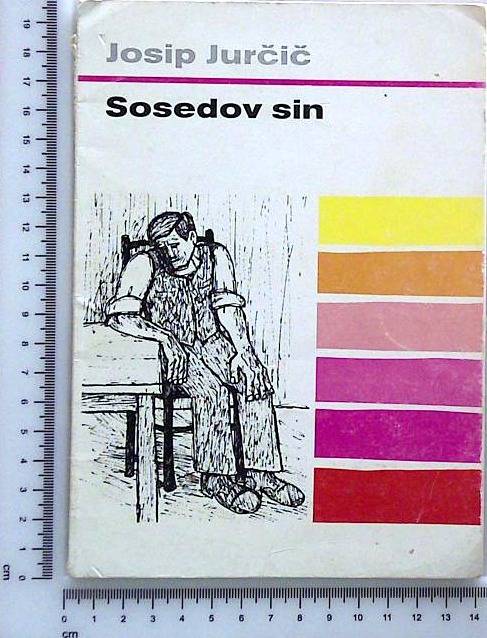 Sosedov sin
