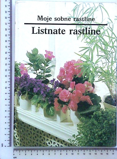 Moje sobne rastline / Listnate rastline