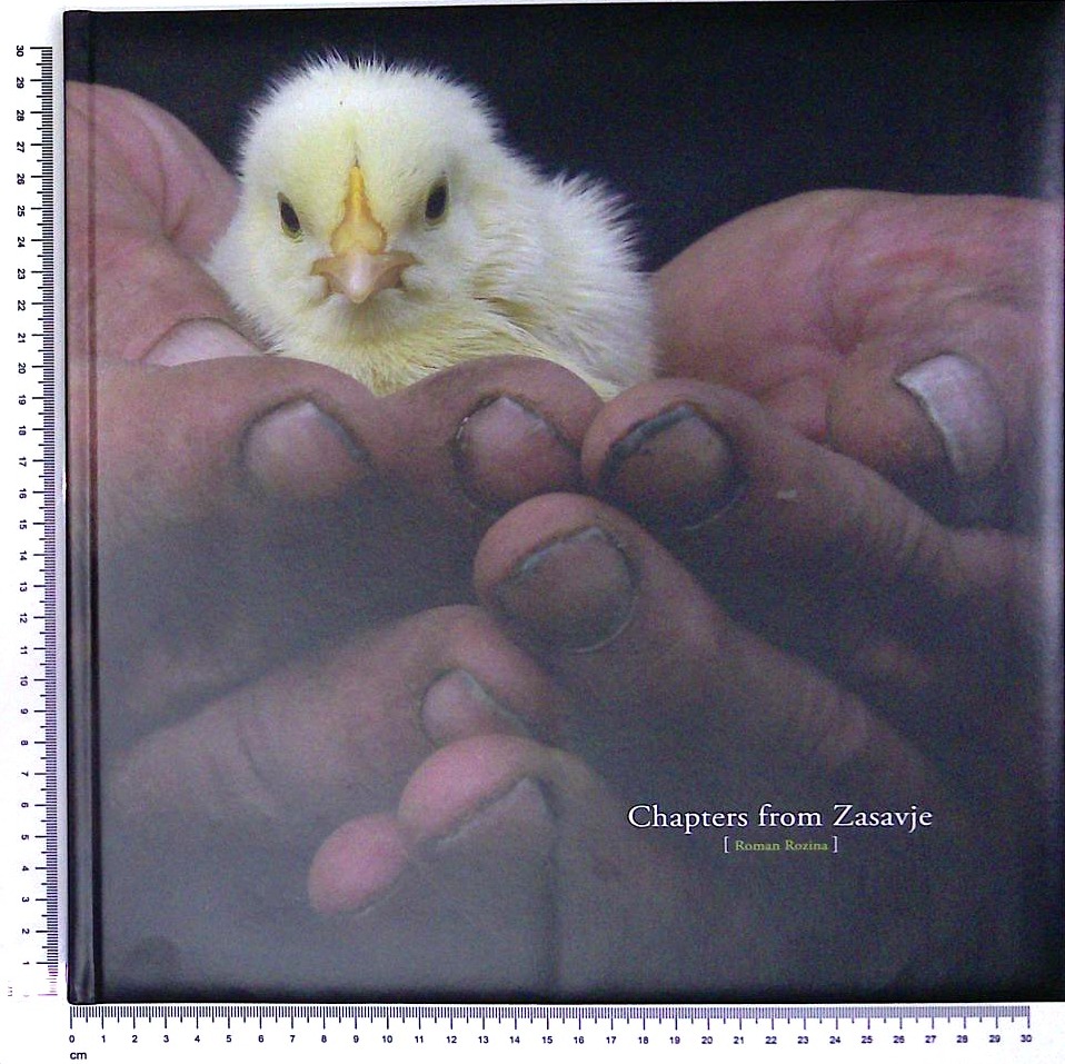 Chapters from Zasavje