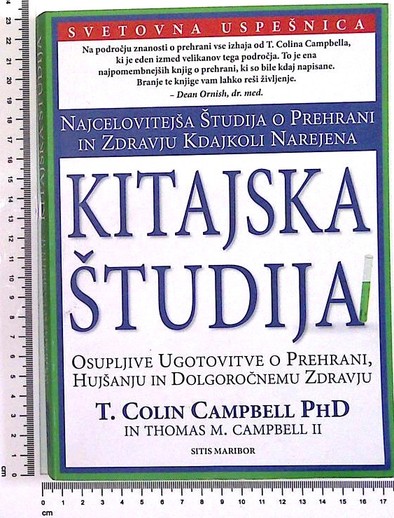 Kitajska študija