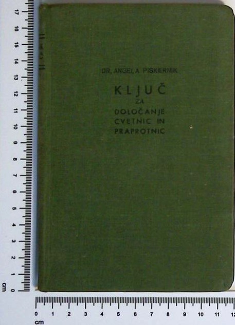 Ključ za določanje cvetnic in praprotnic