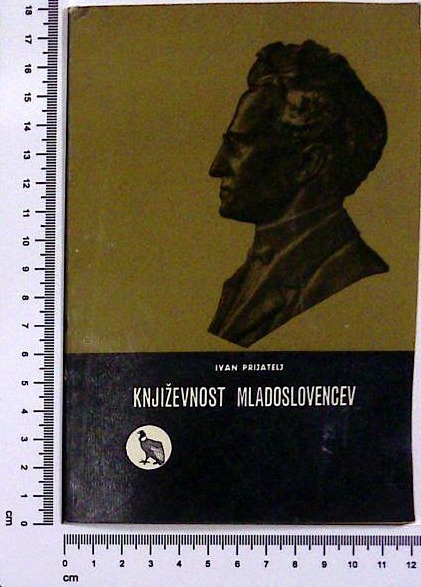 Književnost mladoslovencev