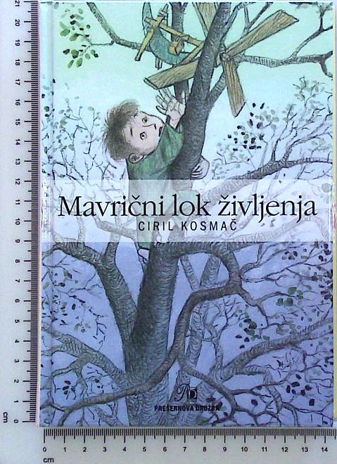 Mavrični lok življenja